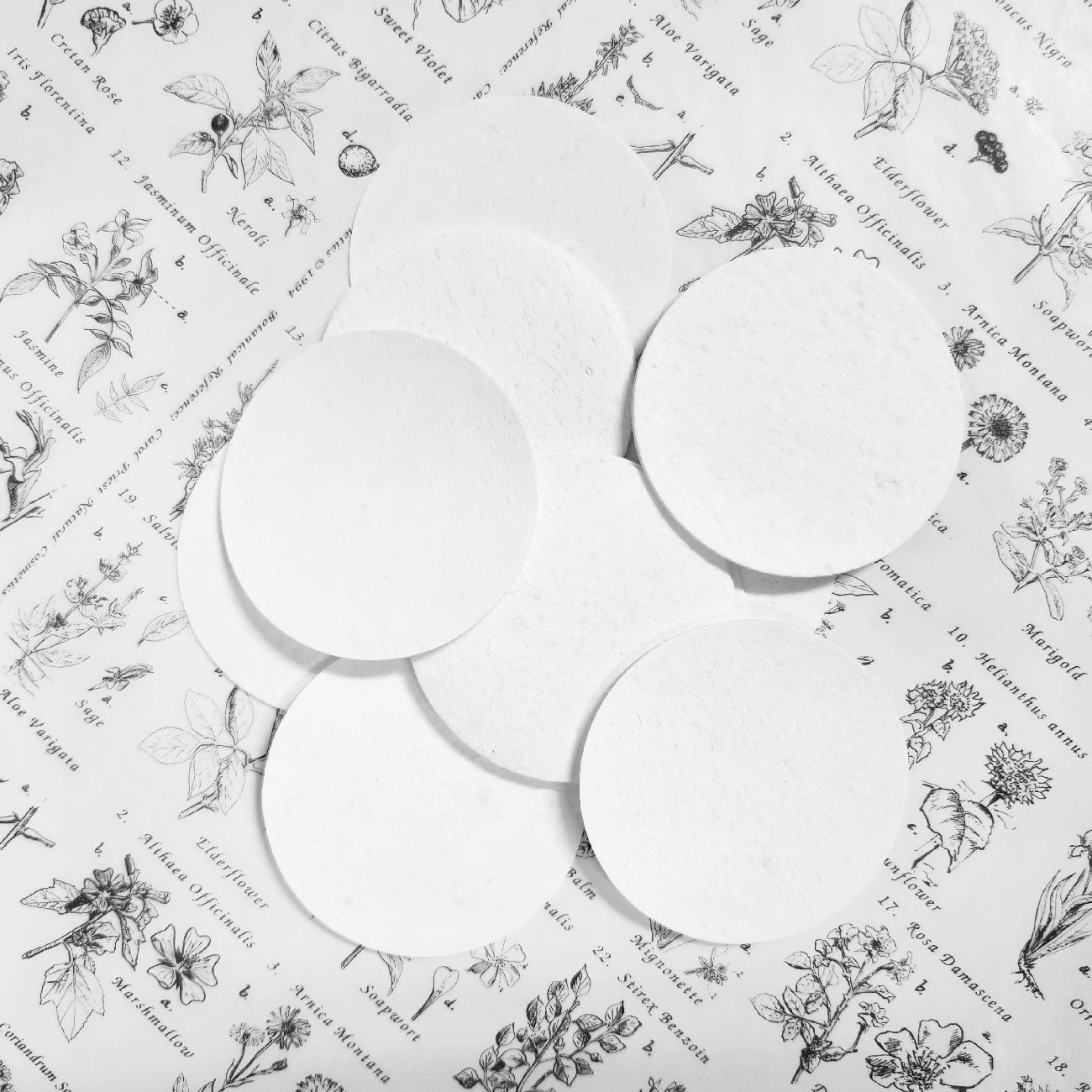 100% Natural Cellulose Sponge