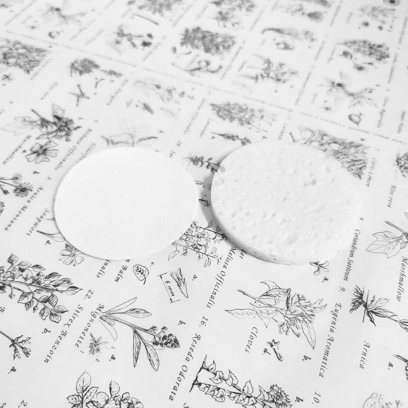 Natural Cellulose Facial Sponge